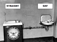 Pentagon study gays military DADT